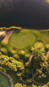 aerial_water_hole_2015